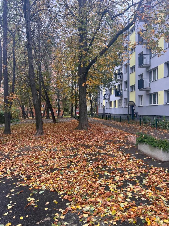 Yellow Apartment Airport Galeria Mokotow Netflix ワルシャワ エクステリア 写真